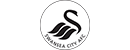 斯旺西 Logo
