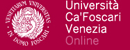 意大利威尼斯大学 Logo