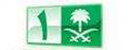 沙特国家电视1台 Logo