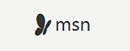 MSN德国 Logo
