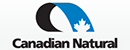 自然资源公司 Logo