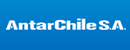 安达智利 Logo