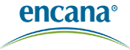 恩卡纳公司 Logo
