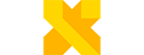 Google X Logo
