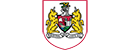 布里斯托尔城队 Logo