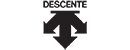 迪桑特 Logo