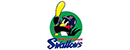 东京养乐多燕子 Logo