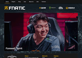 Fnatic_FNC战队